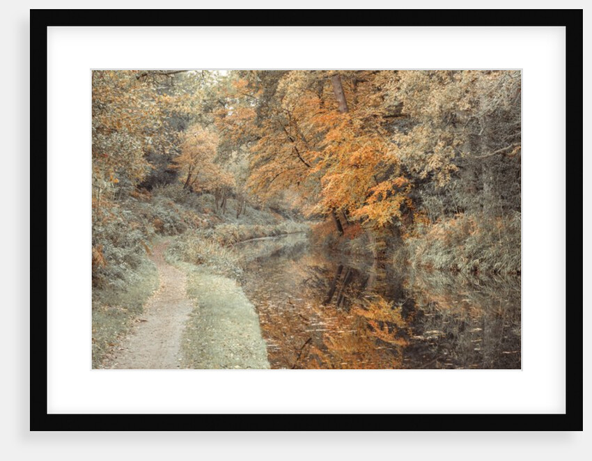 Pathway by canal in Forest by Assaf Frank